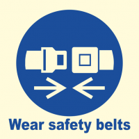 Fasten Seat Belts 105100 MSS022