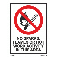 No Sparks, Flames Or Hot Work Activity In This 20-1000