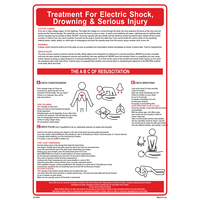 Treatment for Electric shock, Drowning or Serious injury 221509 331509