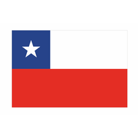 National Flag Chile 37-3744