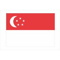 National Flag Singapore 37-3896