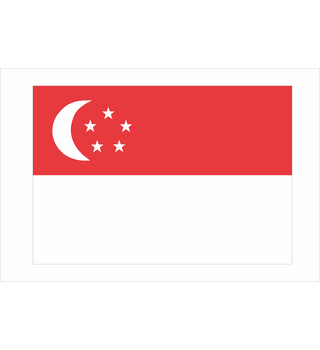 National Flag Singapore 37-3896