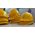 Print Your Own Logo - Helmet PrintingPrint Your Own Logo - Helmet PrintingPrint Your Own Logo - Helmet Printing