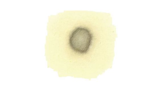 V310/S170/C172 - Spot Check - Quick Insoluble Test